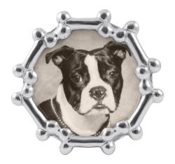 Dog Bone Round 5x5 Frame*